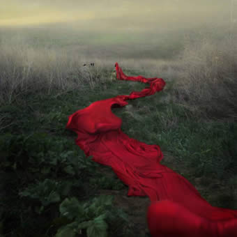 'Red Rivers Journey' by Trini Schultz